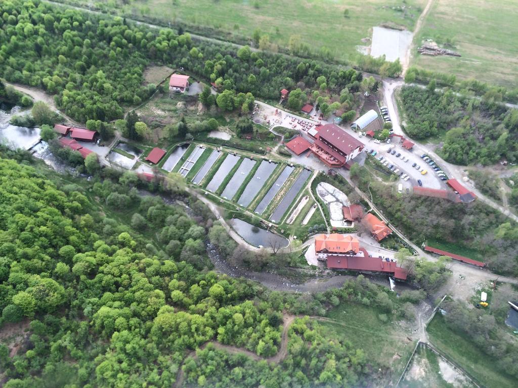 Complex Pastravaria Albota Arpaşu de Sus Eksteriør bilde